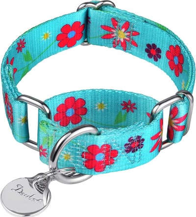 Verstelbare Martingale Halsband voor Honden - Zacht en Duurzaam - Geschikt voor Kleine, Middelgrote en Grote Honden - Beschikbaar in Groenblauw en Zonnebloem
