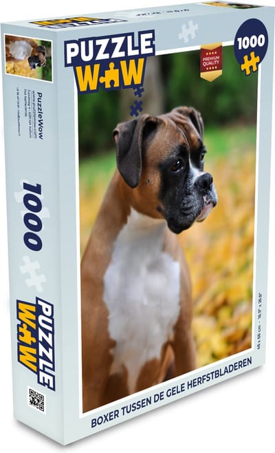 Puzzel Boxer tussen de gele herfstbladeren - Legpuzzel - Puzzel 1000 stukjes volwassenen