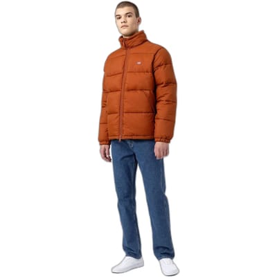 Jas Dickies Waldenburg