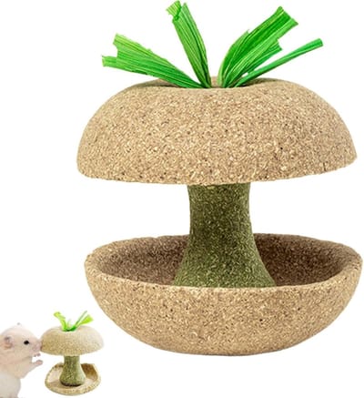 Hamster Tandjes Speelgoed - Molaire Treats Kleine Dieren - Gezonde Tanden Bevorderen - Fruit Vormig Ontwerp - 8x8x8cm - Niet gespecificeerd
