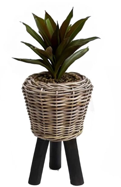 Van der Leeden Planten/bloemen mand - op pootjes - rotan gevlochten - D27 x H42 cm - drypot - plantenpot - bloempot - binnen/buiten