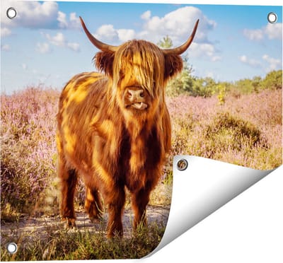 Gards Tuinposter Schotse Hooglander Koe in de Wei - 50x40 cm - Tuindoek - Tuindecoratie - Wanddecoratie buiten - Tuinschilderij
