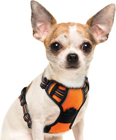 Hondentuig No Pull, Hondenharnas voor Kleine Honden, Verstelbare Harnas Hond met Reflecterend Strepen, Gewatteerd Zacht Ademend, Hondentuigje Anti-trek voor Wandelen Training, Oranje S
