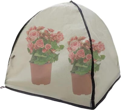 Kassen Tent - Plantenkas Buiten - Planten Beschermen - Draagbaar Opvouwbaar - 52x52x52cm - Groen