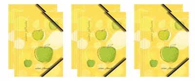 Gelakte A4 map met hoekelastiek - Appel design