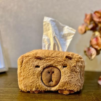 Boîte à mouchoirs en peluche Capybara Pas rembourré Mignon Décoration de maison Jouet en peluche Kawaii 25X20X15CM