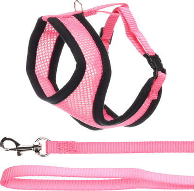 Kattentuigje - kattenharnas - Kitten - Harms Roze - comfortabel kitten harnas met leiband - 110 cm