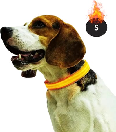 Bovista Lichtgevende Halsband - Verlichte Halsband - Lichtgevend - Hond - Kat - Lampje - Hondenhalsband Led - Oplaadbaar - Glow In The Dark - Geel - S