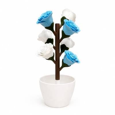 Roos Pillendoosje – 3D Geprint Week Pill Organizer met Magnetische Bloemen – Medicatie Box 7 Dagen (Blauw - Wit)