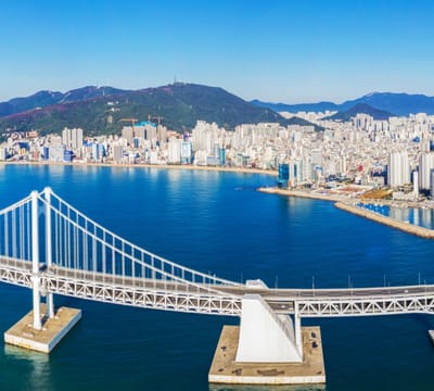 Indrukwekkende Twangandaegyobrug voor skyline van Busan - Fotobehang (in banen) - 250 x 260 cm