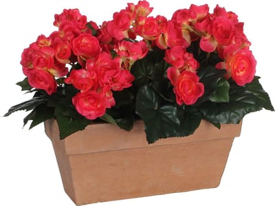 Mica Decorations - Begonia Kunstplant in Balkonbak Slate - L29 x B13 x H25 cm - Donkerroze