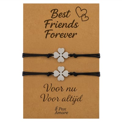 Vriendschapsarmbandjes voor 2 "Best Friends Forever" - Klavertje Vier - BFF Armbandjes met Persoonlijk Cadeau Kaartje - Zilverkleurig - Elastisch Verstelbaar - Pax Amare