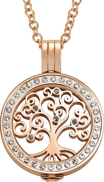 Quiges Munthouder met Ketting en Munt 25mm Zirkonia Levensboom - RVS Roségoudkleurig met Zirkonia - EPRHZ788