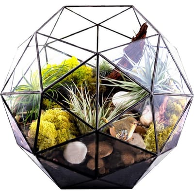 Elegante Geometrische Bloempot Glazen Plantenbak Plantencontainer Houder Landschapsaccessoires