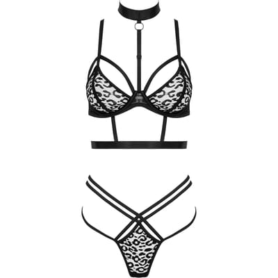 Kotek Set TP106