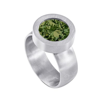 Quiges RVS Schroefsysteem Ring Zilverkleurig Mat 16mm met Verwisselbare 12mm Mini Munt - SLSRS44816