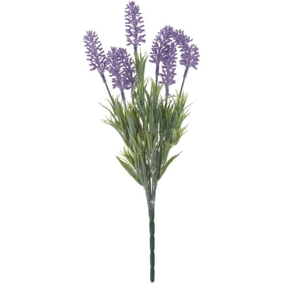 VBS Lavendel pluk "Lavendula"