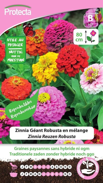 Protecta Bloemen zaden: Zinnia Reuzen Robusta | Californische Reuzen