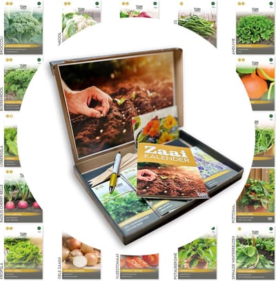 Cadeau Zadenpakket – 24 Groente- & Kruidenzaden – Luxe Moestuin Cadeau – Tomaat, Sla, Wortel, Courgette, Kruiden & Meer – Tuin de Bruijn