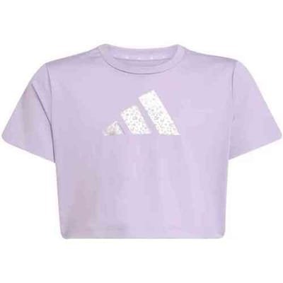 T-shirt Korte Mouw adidas KB7296