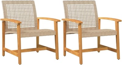 Tuinstoelen 2-delige set van poly rotan en acaciahout - Beige Lounge Stoelen voor Buiten en Camping