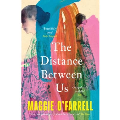 The Distance Between Us - Maggie O'Farrell