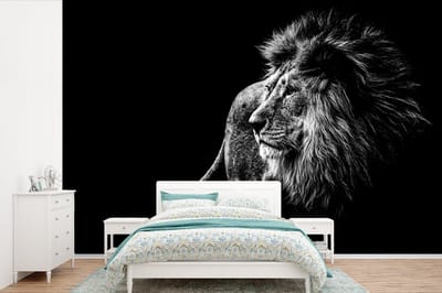 Behang - Fotobehang Dieren - Wild - Leeuw - Zwart - Wit - Breedte 360 cm x hoogte 240 cm