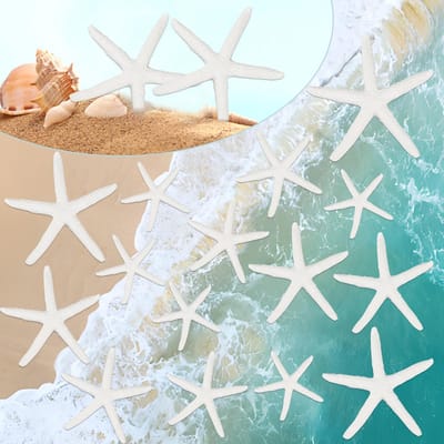 Zee Sterren Decoratie 20 Stuks - Hars Sterren - Levensechte Afwerking - Voor Bruiloft en Strandthema - SnelShoppen