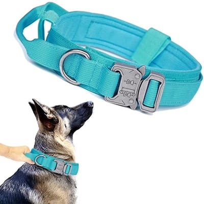 Ensemble de laisse et collier tactique durable pour chien, collier militaire réglable pour animal de compagnie, laisse pour chien de taille moyenne et grande, accessoires de dressage pour berger allemand (as the picture,L Neck 45-55CM)