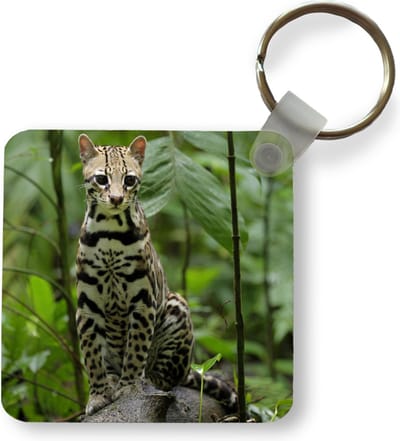 Sleutelhanger - Uitdeelcadeautjes - Ocelot tussen de bladeren van de jungle in Costa Rica - Plastic