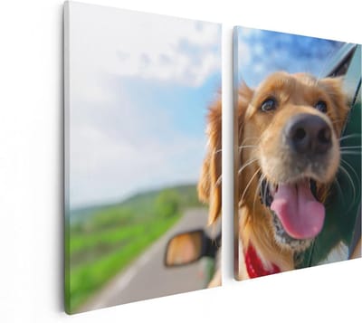 Artaza Canvas Schilderij Tweeluik Golden Retriever Hond Uit Een Auto Raam - 80x60 - Foto Op Canvas - Canvas Print