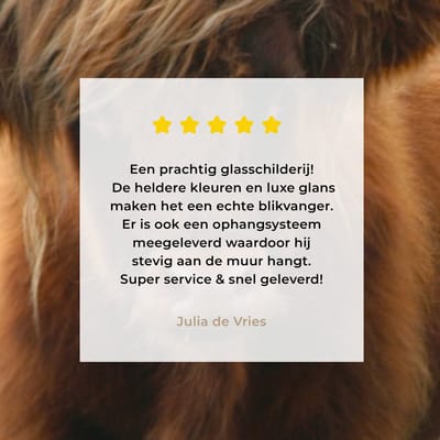 MuchoWow® Glasschilderij 40x30 cm - Schilderij acrylglas - Schotse Hooglander - Heide - Dieren - Foto op glas - Schilderijen