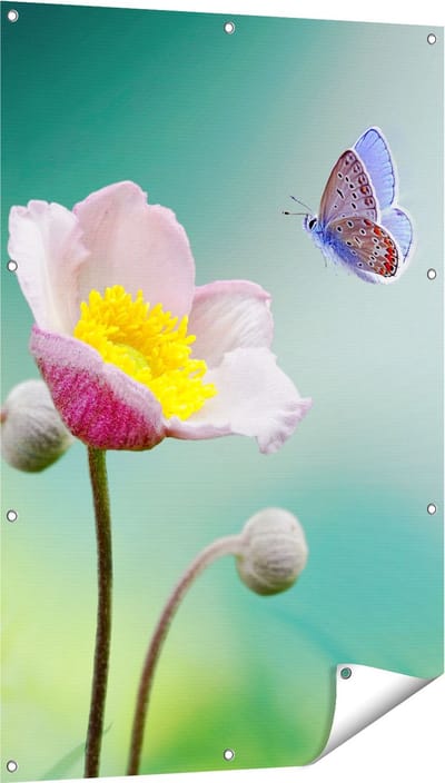 Gards Tuinposter Roze Anemoon Bloem met een Blauwe Vlinder - 80x120 cm - Tuindoek - Tuindecoratie - Wanddecoratie buiten - Tuinschilderij
