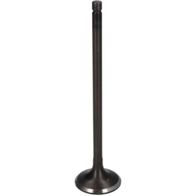 Inlaatklep FRECCIA R4900/SNT
