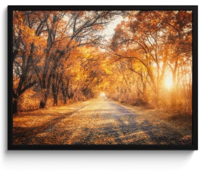 Poster in lijst - Fotolijst 70x50 cm - Posters - Bos - Herfst - Bomen - Bospad - Natuur - Posterlijst zwart - Decoratie - Wanddecoratie woonkamer - Muurdecoratie slaapkamer