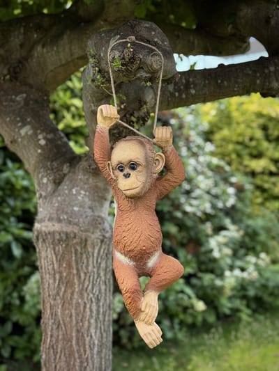 Aapje hangend bruin 55 cm hoog - aapje - polyester - polyresin - polystone - hoogkwalitatieve kunststof - decoratiefiguur - interieur - accessoire - voor binnen - cadeau - geschenk - tuinfiguur - tuinbeeldje - tuindecoratie