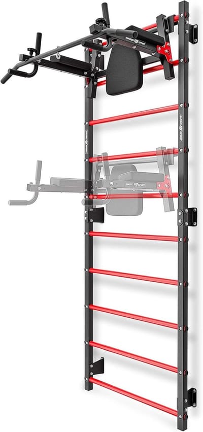 Wandrek en Multifunctioneel Dipstation voor Thuis Fitness - 230 x 81 cm