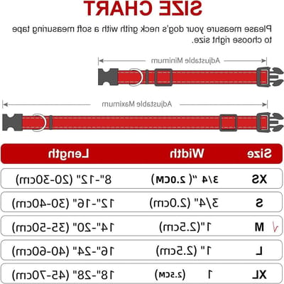 Allecto Plus - Hondenhalsband reflecterend nylon zwart - verstelbaar met karabijnhaak - middelgrote honden - zichtbaarheid 's nachts - reflectie.