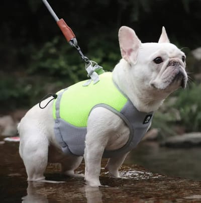 Verkoelend hondenvest Harnas Geel Maat S - Gewicht Hond 3-6KG - Koelvest voor honden - Dogs&Co