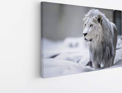 Saammp Canvas Schilderij - Leeuw in de sneeuw - Dieren - Natuur - 45x30 - Foto op canvas - Wanddecoratie - Muurdecoratie Woonkamer - Slaapkamer decoratie - Canvas Print
