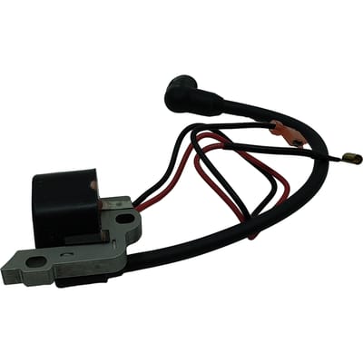 Iginition module