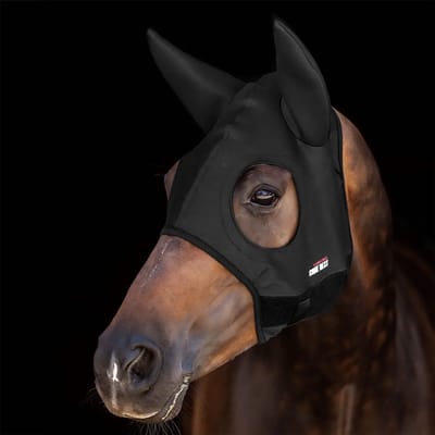 Oordekens voor paard Lami-Cell