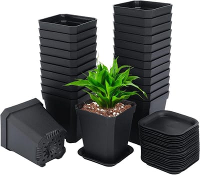 24 Stuks 7 cm Kweekpotten met Coaster, Dikke Plastic Vierkante Potten voor Zaden en Vetplanten, Zwart