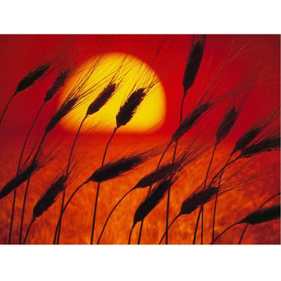 Steentjes 5D Diamond Craft schilderij DIY diamant borduurpakketten prachtige zonsondergang schilderachtige diamant 20X30CM black