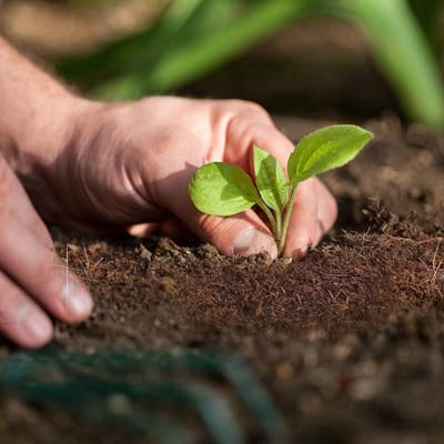 Biologische Aarde - Plantaardige Potgrond - Planten Verzorgen - 100% Natuurlijk - 60 Liters - Bruin