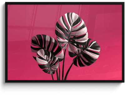 Poster in lijst - Fotolijst 120x80 cm - Posters - Bladeren - Rond - Roze - Posterlijst zwart - Decoratie - Wanddecoratie woonkamer - Muurdecoratie slaapkamer