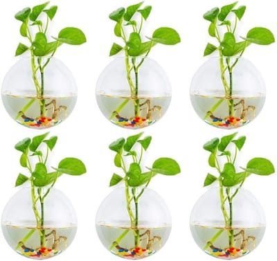 Set van 6 Sferische Wandplantenpotten - Terrarium Vazen met Kleurige Steentjes voor Binnen en Buiten, Perfect voor Tuin, Thuis en Bruiloften