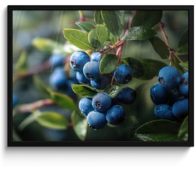 Poster in lijst - Fotolijst 70x50 cm - Posters - Blauwe bessen - Dauwdruppels - Natuurlijk licht - Posterlijst zwart - Decoratie - Wanddecoratie woonkamer - Muurdecoratie slaapkamer