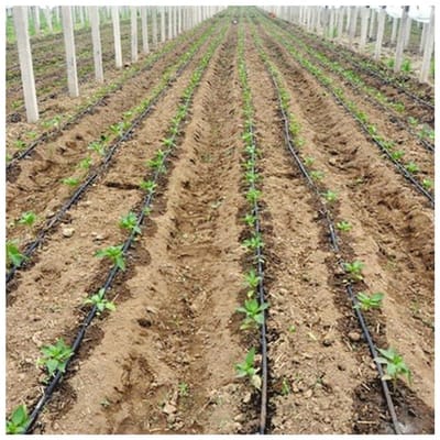 Tuinslang Druppelirrigatie - Soak Slang - Planten Water Geven - Zelfregulerend - 20 Meter - Zwart