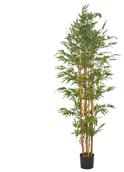 BAMBOO - Kunstplant - Groen - 220 cm - Synthetisch